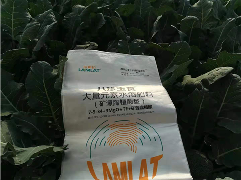 大量元素水溶肥，拉姆拉，翠姆