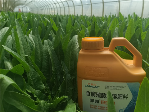 水溶肥，翠姆，拉姆拉