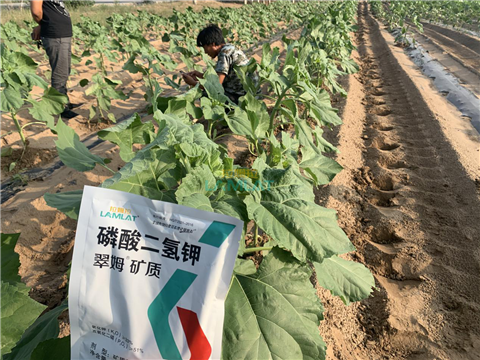 水溶肥，翠姆，拉姆拉