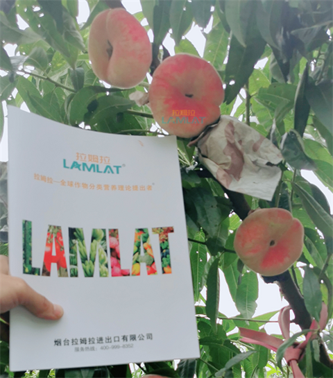 水溶肥，翠姆，拉姆拉