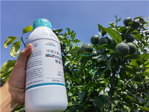 水溶肥，翠姆，拉姆拉