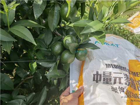 水溶肥，翠姆，拉姆拉