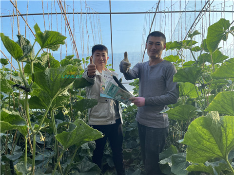 水溶肥，翠姆，拉姆拉