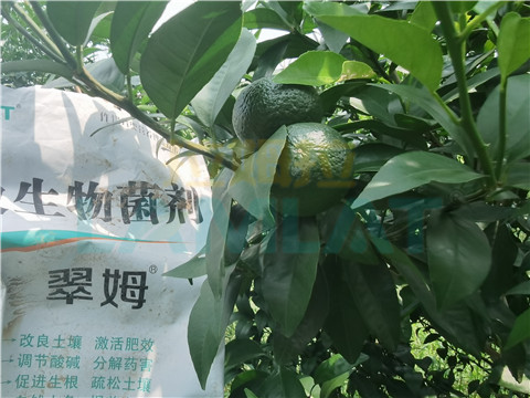 微生物菌劑，翠姆，拉姆拉