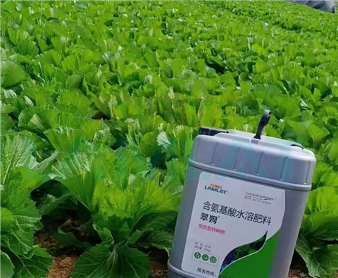 水溶肥，翠姆，拉姆拉