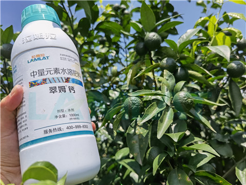 水溶肥，拉姆拉，翠姆