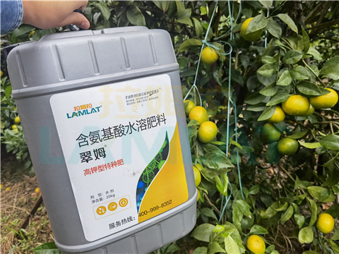 水溶肥，拉姆拉，翠姆