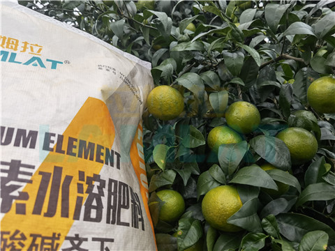 水溶肥，拉姆拉，翠姆