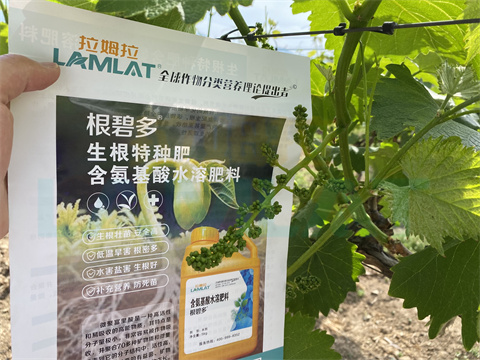 水溶肥，拉姆拉，翠姆