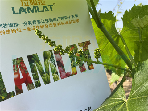 水溶肥，拉姆拉，翠姆