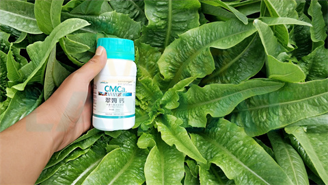 水溶肥，拉姆拉，翠姆