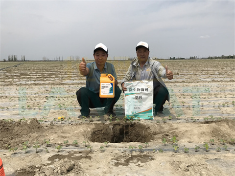 水溶肥，拉姆拉，翠姆