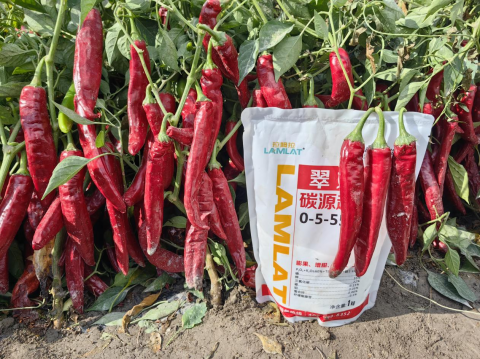 水溶肥廠(chǎng)家,色素辣椒種植,翠姆水溶肥