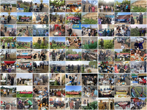 水溶肥廠家,農(nóng)業(yè)內(nèi)卷,拉姆拉滴灌級(jí)特種肥