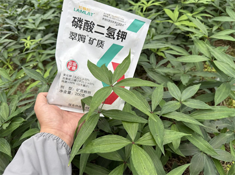 水溶肥品牌,黃精種植,拉姆拉滴灌級特種肥